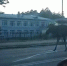 "На пары пошел": зареченцы сняли на видео лося, который переходил дорогу к институту - Progorod58.Ru