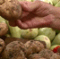 Специалисты рассказали, какие продукты полезно включить в свой рацион в октябре - ГТРК Пенза