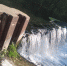 Фото: https://minleshoz.pnzreg.ru - Penza-Post.Ru