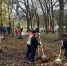 Городской субботник в Пензе завершил месячник по благоустройству - Stolica58.Ru