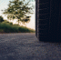 Фото: Pixabay.com - Penza-Post.Ru