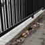 trash centre - Улица Московская