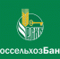 Объемы введенных в эксплуатацию овощехранилищ в 2022 году станут самыми высокими за пятилетний период - Минсельхоз