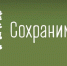 В Пензе 20 ноября телебашня загорится зеленым светом в поддержку акции «Сохраним лес» - Stolica58.Ru