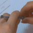 Пензенская область присоединится к всероссийскому флешмобу по математике MathCat - ГТРК Пенза