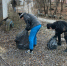 Фото: https://penza-gorod.ru/ - Penza-Post.Ru