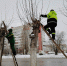 Фото: http://penza-gorod.ru - Penza-Post.Ru