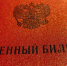 Пензенцы в скором времени начнут получать электронные повестки - Progorod58.Ru