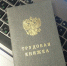 В Пензенском районе директора строительной фирмы обвиняют в фиктивном приеме на работу - SMI58.Ru