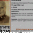 В Пензе нашли 71-летнюю пенсионерку с потерей памяти - Stolica58.Ru