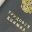 Директор стройфирмы в Пензе за деньги фиктивно трудоустроил бетонщика и автослесаря - Progorod58.Ru