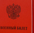 Новые повестки по мобилизации с 1 августа: сюрприз приготовили россиянам на Госуслугах - Progorod58.Ru