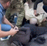 В Пензе задержали граждан, изготавливавших поддельные долларовые банкноты - Пенза-Обзор