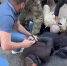 Появилось видео жесткого задержания пензенских фальшивомонетчиков - Пензенская Правда