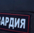 В Пензе дебошир избил прохожего палкой - ГТРК Пенза