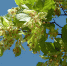 Фото: https://pxhere.com - Penza-Post.Ru