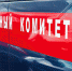Следком разбирается в обстоятельствах расправы над женщиной - Пензенская Правда