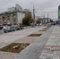 Пензенцы не одобрили вырубку деревьев у здания цирка - Progorod58.Ru