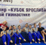 Пензенские спортсменки достойно выступили на соревнованиях по эстетической гимнастике в Ярославле - Минспорт