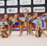 Фото: sport.pnzreg.ru - Penza-Post.Ru