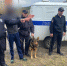 Житель Городища вскоре после выхода из колонии совершил ряд преступлений - Пенза-Обзор