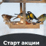 Фото: https://penza-gorod.ru/ - Penza-Post.Ru