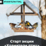 Как сделать правильную кормушку и помочь пернатым зимой: стартовала акция «Хранители птиц» - Пензенский район