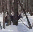 Пензенцы сняли на видео волшебную встречу с двумя оленями в зимнем лесу - Progorod58.Ru