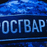 В Пензе задержали дебошира, устроившего погром в ночном клубе - 1Pnz.Ru