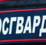 Фото пресс-службы управления Росгвардии по Пензенской области - ГТРК Пенза