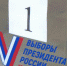 В Пензенской области явка избирателей на выборах президента составила более 25% - ГТРК Пенза