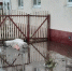 Пензенцам озвучили суммы выплат пострадавшим из-за паводка - Progorod58.Ru