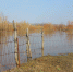 В Кузнецке поднялся уровень воды в реке Труев - ПензаСМИ