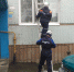 Пензенскую пенсионерку, упавшую в квартире, поднимали с помощью спасателей - 1Pnz.Ru