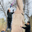 Более 150 пензенцев привели в порядок городские памятники - Progorod58.Ru