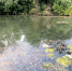 Picture background - Penza-Post.Ru