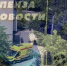 В Пензе трехлетняя девочка упала с высоты четвертого этажа - SMI58.Ru