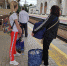 Пензенцам стало проще перевозить животных в поездах - Stolica58.Ru