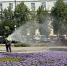 Фото: https://www.penza-gorod.ru/ - Penza-Post.Ru