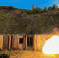 Фото: https://58.rosguard.gov.ru - Penza-Post.Ru