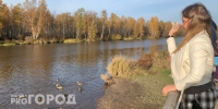 В первый день ноября жителям Пензенской области прогнозируют сильный ветер - Progorod58.Ru