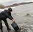 В водохранилище необходимо запускать более 600 тысяч мальков ежегодно||Фото автора - Пензенская Правда