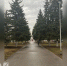 МЧС предупредило о тумане с видимостью 500 метров в понедельник утром - Progorod58.Ru