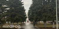 В ближайшие 1-3 часа Пензенскую область накроет туман - Progorod58.Ru