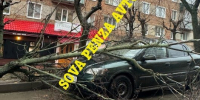 Деревья и заборы на автомобилях: Пензенцы делятся кадрами последствий ночного урагана - SMI58.Ru