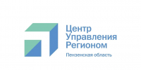 Пензенскому ЦУРу исполнилось 4 года, - Олег Мельниченко - РИА Пензенской области