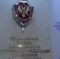Пятеро жителей Пензенской области осуждены по делу о деятельности экстремистской организации - Пенза-Обзор