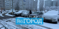 За полдня 28 ноября в травмпункт обратилось 60 жителей Пензы - Progorod58.Ru
