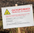 В Пензенской области наказали аграриев за нарушение правил применения пестицидов - Stolica58.Ru