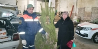 Кузнечане развозят новогодние елки по учреждениям образования Запорожья - РИА Пензенской области
